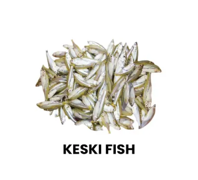 21-KESKI-FISH.webp