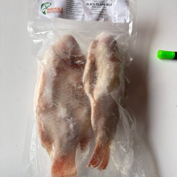 TILAPIA BLACK